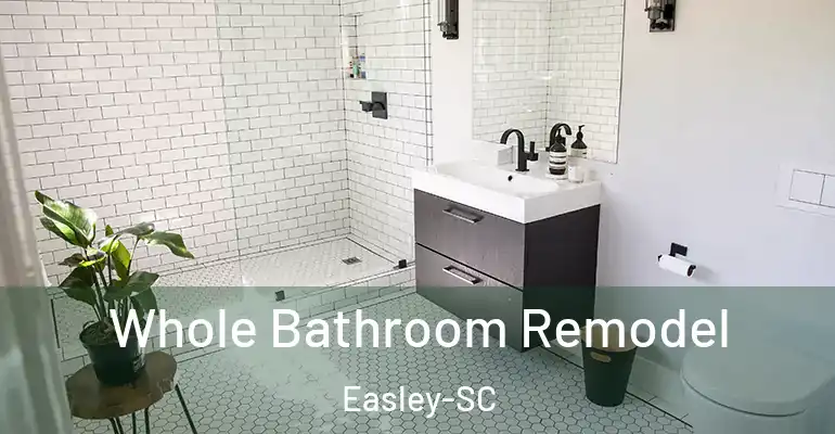 inner Bathroom imggen Whole Bathroom Remodel Easley-SC