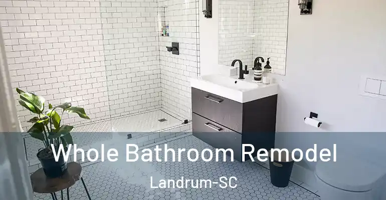 inner Bathroom imggen Whole Bathroom Remodel Landrum-SC