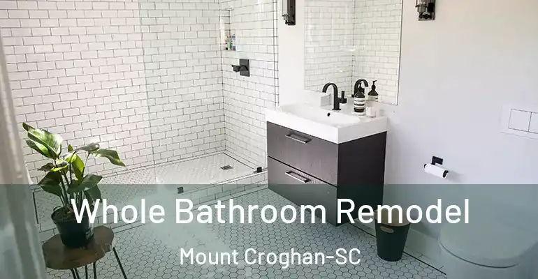 inner Bathroom imggen Whole Bathroom Remodel Mount Croghan-SC