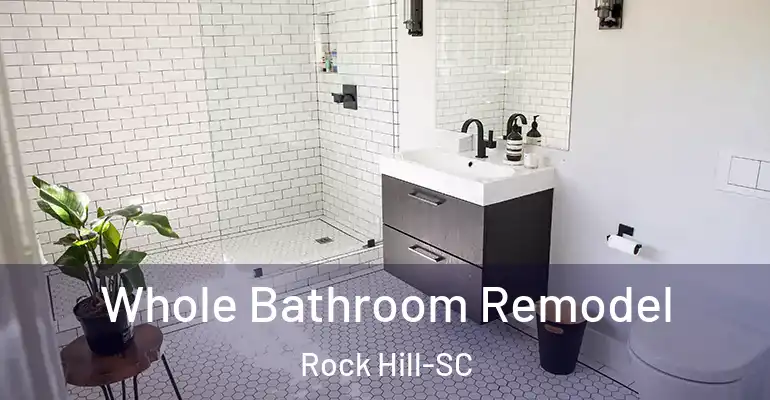 inner Bathroom imggen Whole Bathroom Remodel Rock Hill-SC