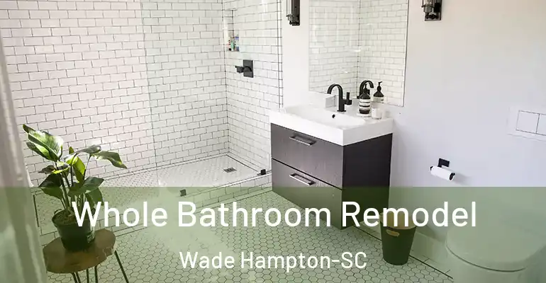 inner Bathroom imggen Whole Bathroom Remodel Wade Hampton-SC