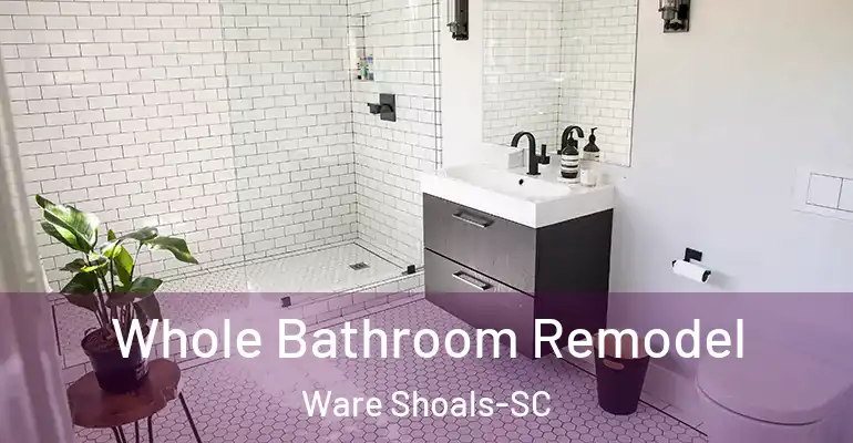 inner Bathroom imggen Whole Bathroom Remodel Ware Shoals-SC