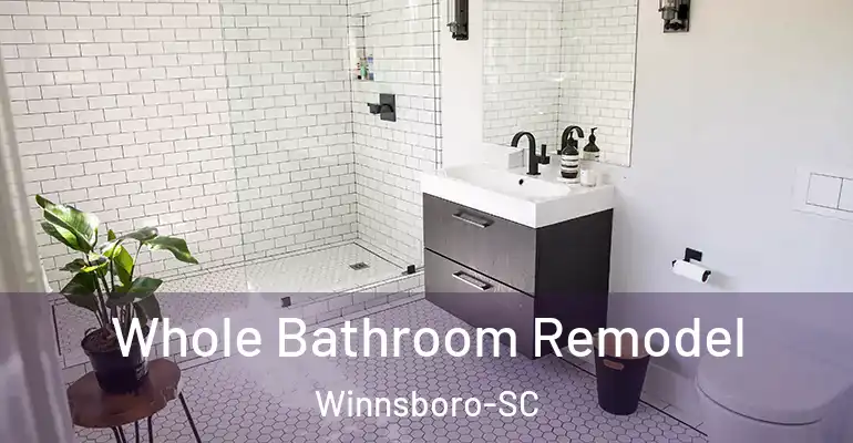 inner Bathroom imggen Whole Bathroom Remodel Winnsboro-SC